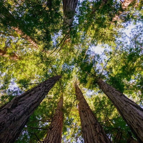 🌲 Páni, váš feed potřebuje tento příval fotek z přírody