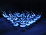 Swan Lake: Ballet de Santiago at London Coliseum, London — production photo 3