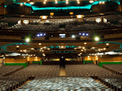 مسرحية ويكد الموسيقية في Apollo Victoria Theatre، لندن — صورة من العرض 4