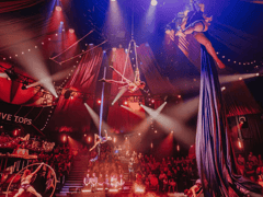 ¡Ven a la Vida! El Gran Espectáculo del Circo del Gran Showman en Londres — foto de producción 3