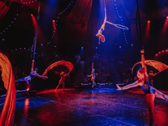 ¡Ven a la Vida! El Gran Espectáculo del Circo del Gran Showman en Londres — foto de producción 6