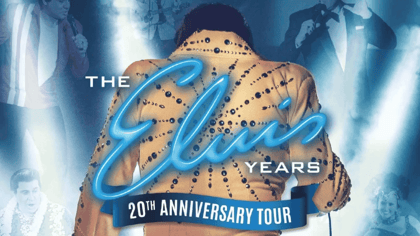 The Elvis Years