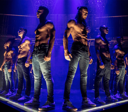Magic Mike Live