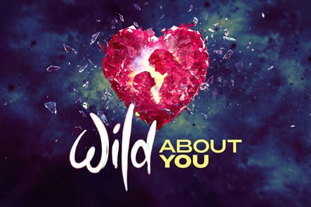 Wild About You tickets at Charing Cross Theatre, London