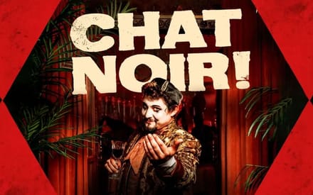 Chat Noir