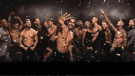 Magic Mike Live