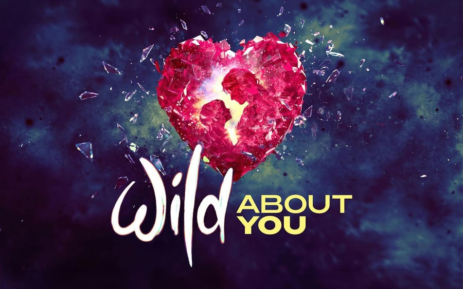 Wild About You tickets at Charing Cross Theatre, London