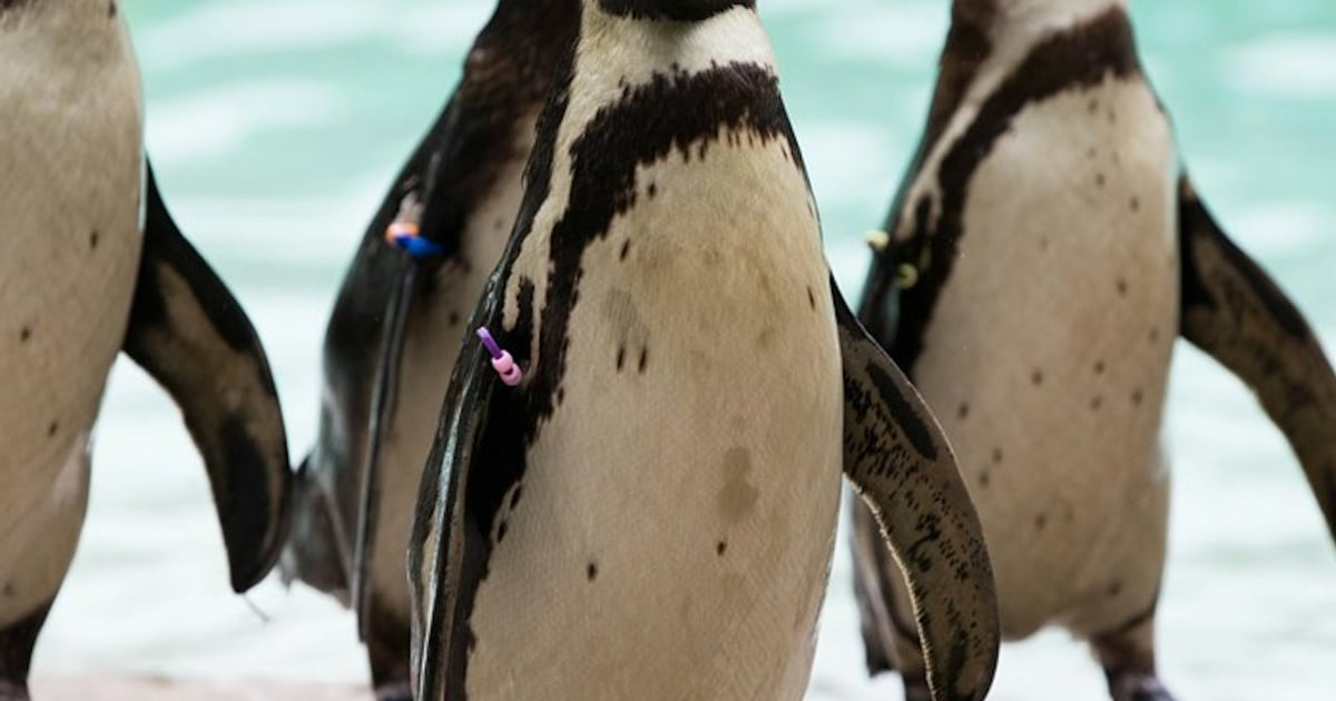 Family day out at London Zoo