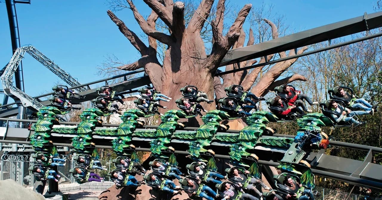 Riders on a spinning green theme-park ride around a tree centrepiece at a park near Verona
