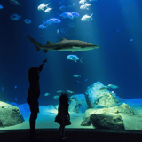 The New York Aquarium at Coney Island, a favourite family day out in summer