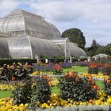 The Palm House at Kew Gardens with vibrant summer flowerbeds in front