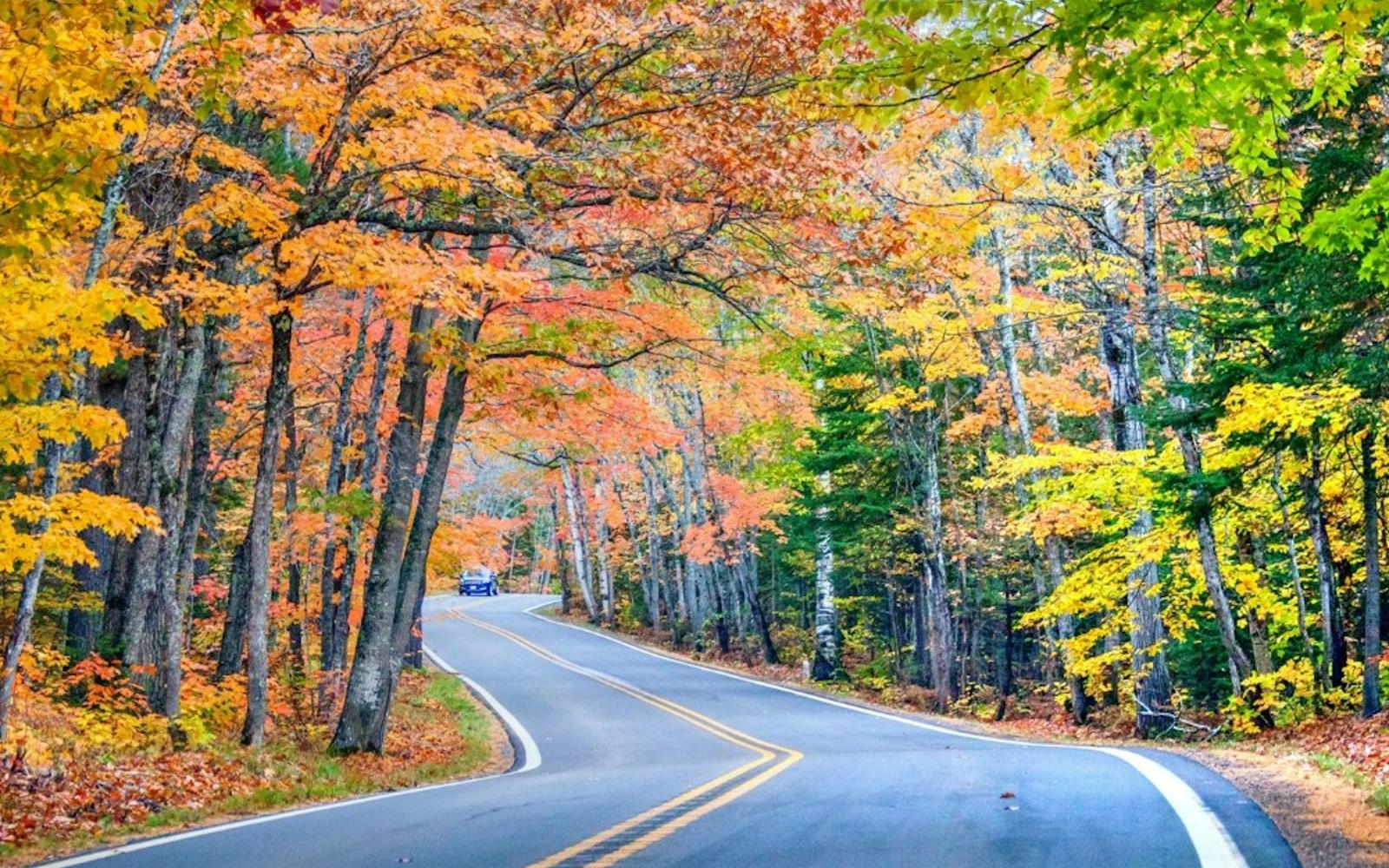 Big Cypress: Self-Guided Driving Tour