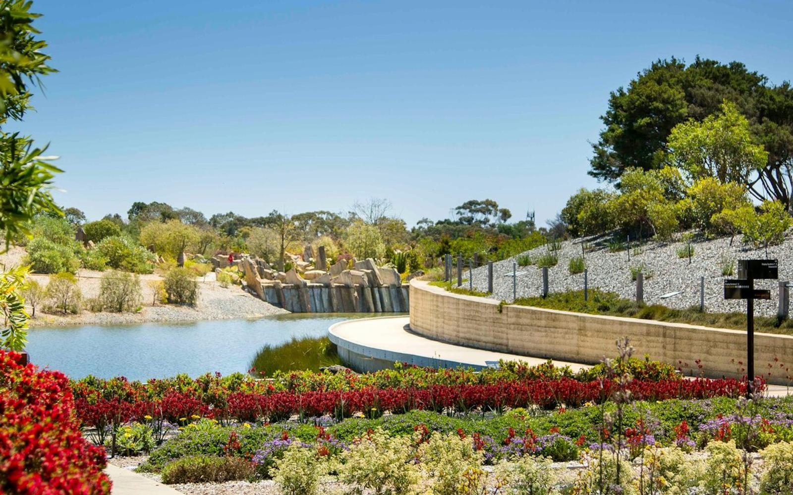 The Explorer - Cranbourne Gardens