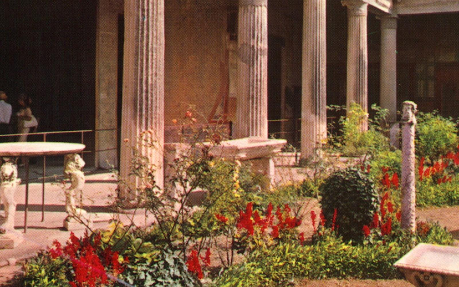 Pompeii: Day Trip From Naples