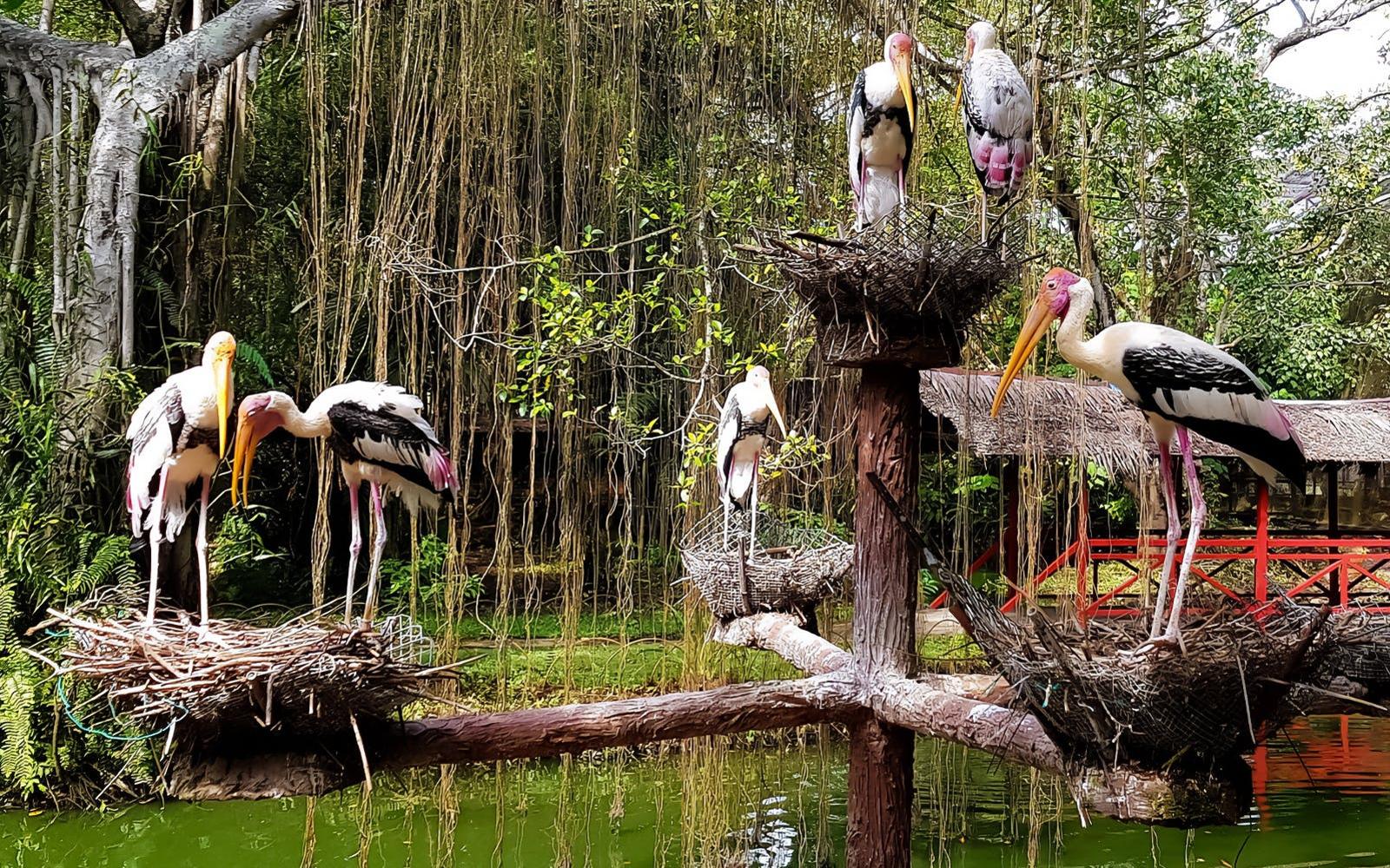 Penang Bird Park Ticket