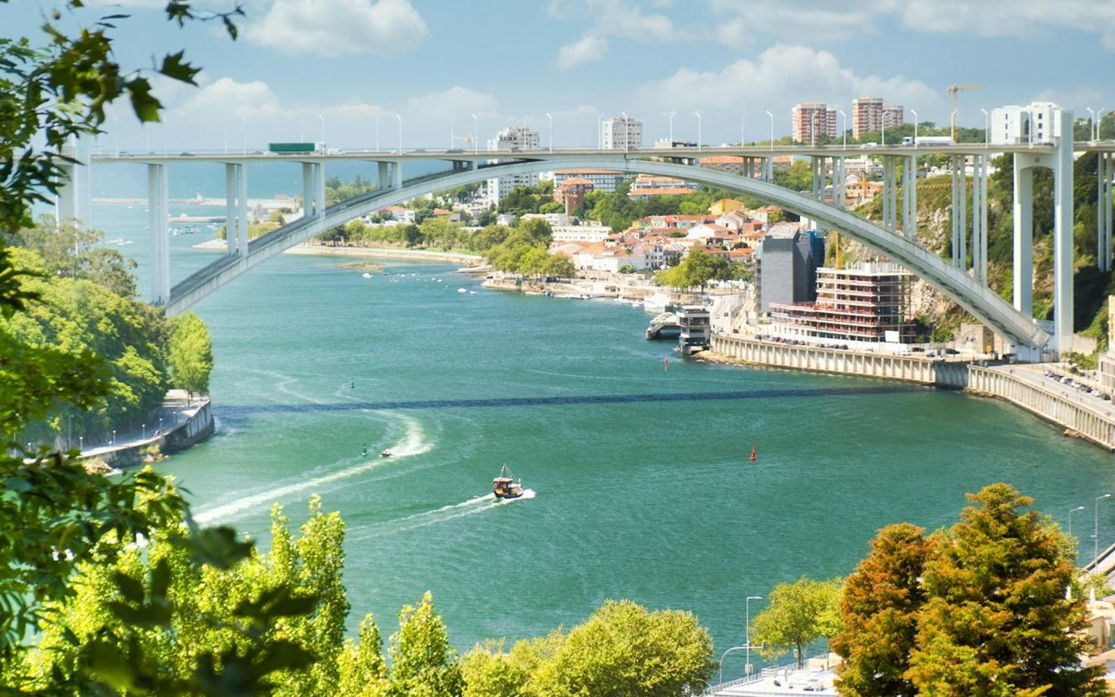 Douro River: Small-Group Walking Tour