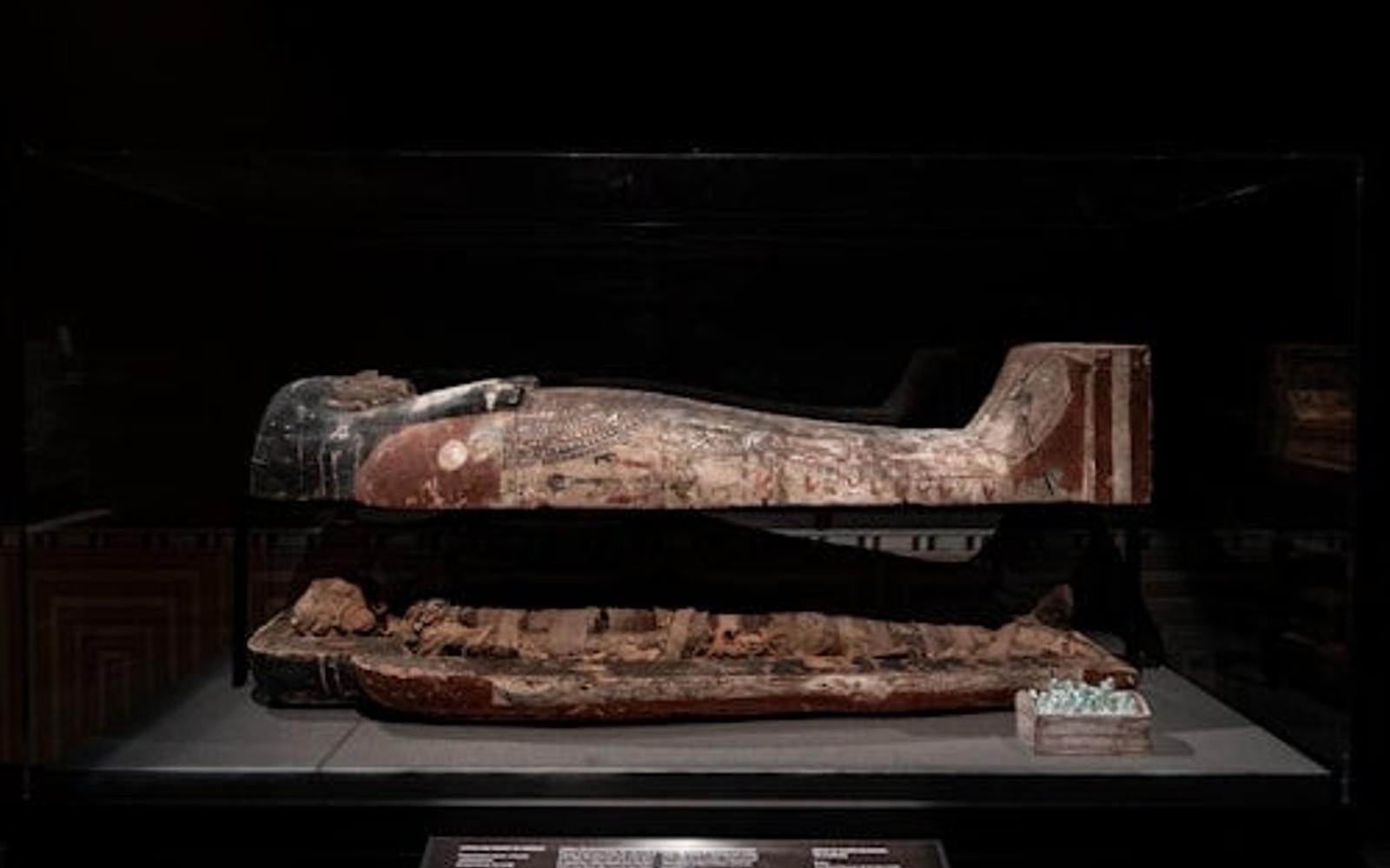 بلیط ورود به موزه علوم طبیعی هیوستون tickets at Houston Museum of Natural Science, Houston