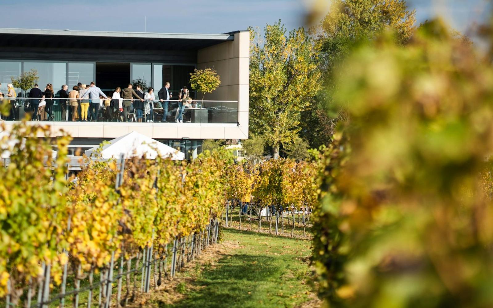 Esterházy Winery Experience