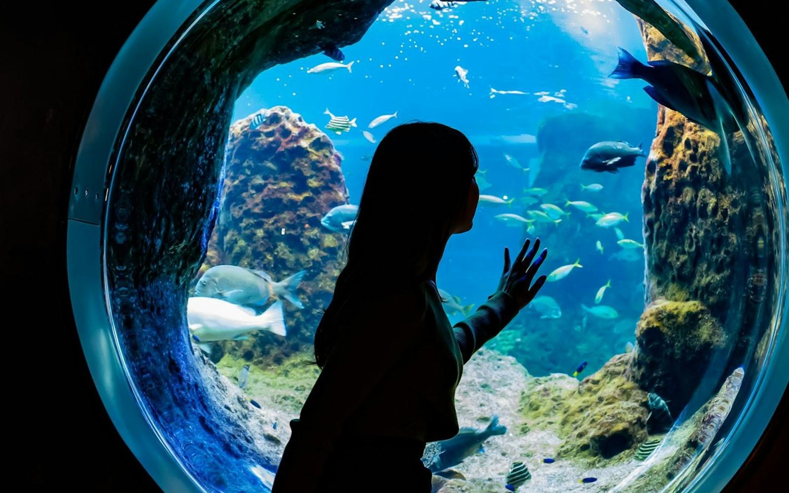 Enoshima Aquarium: Entry Ticket