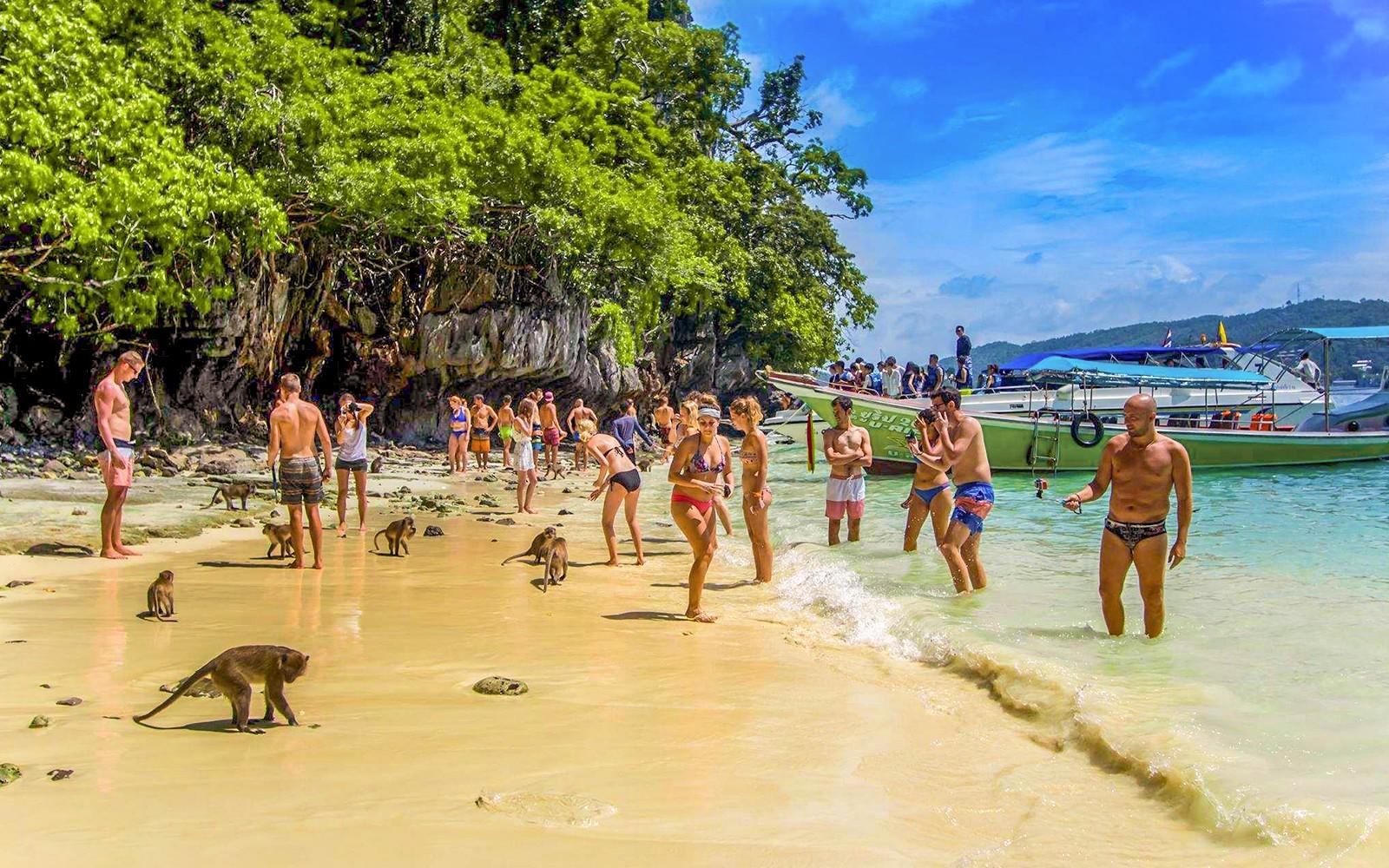 از فی فی: تور اشتراکی خلیج مایا همراه با غواصی با قایق دم بلند tickets at Marlin Statue, Phuket