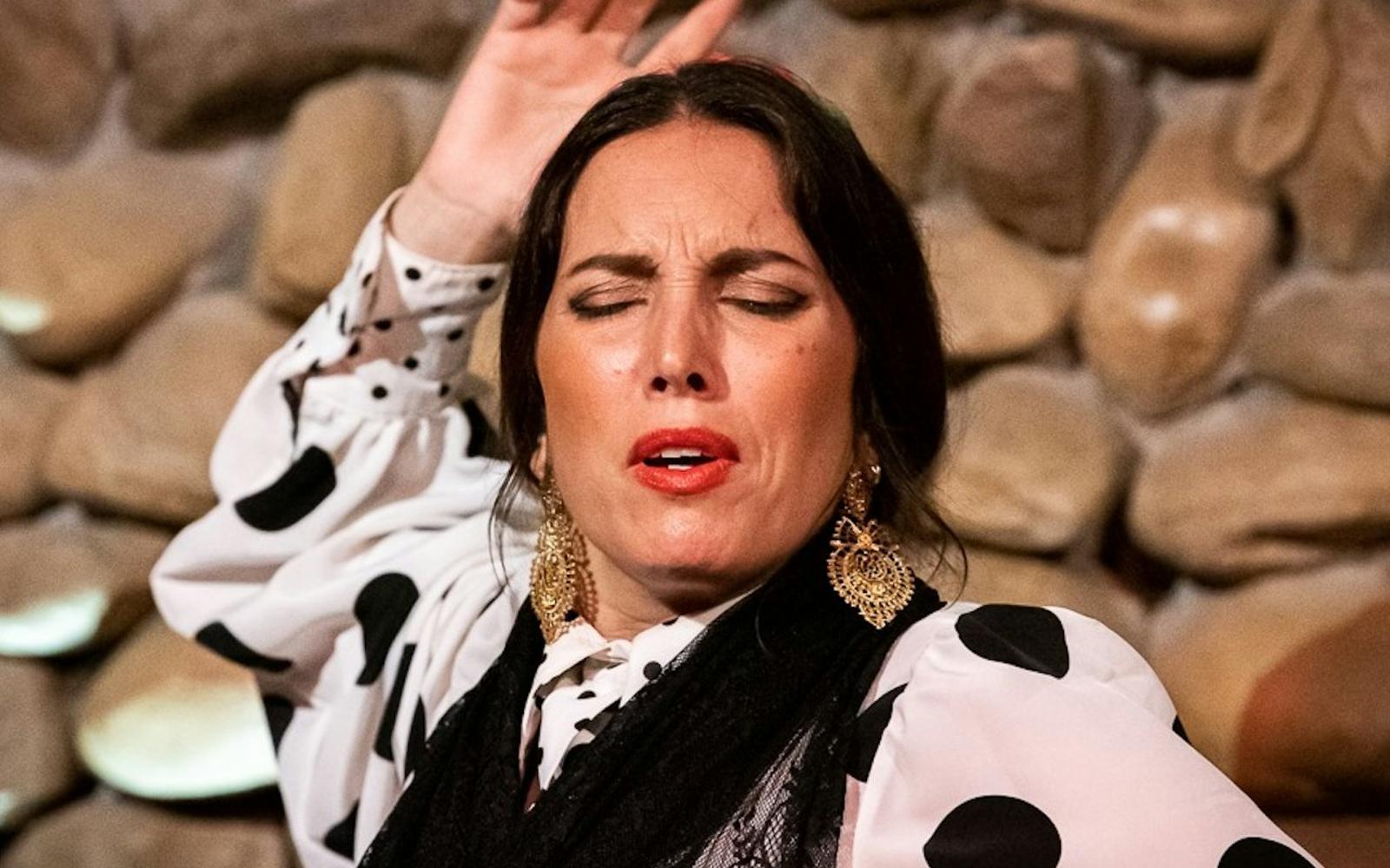 El Gallo Ronco Málaga: Flamenco Show tickets at Malaga Flamenco Shows, Malaga