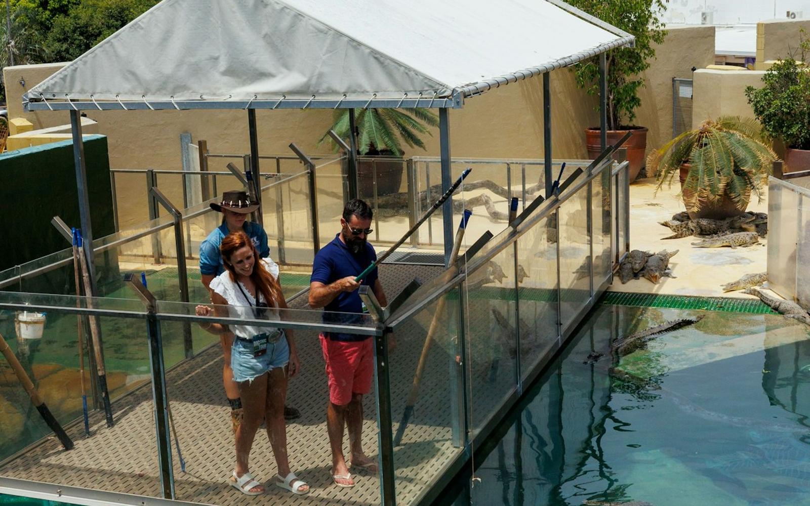 Big Croc Encounter VIP Tour