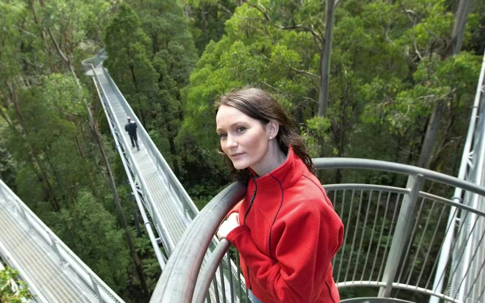 Otway Fly Treetop Adventures: Treetop Walk
