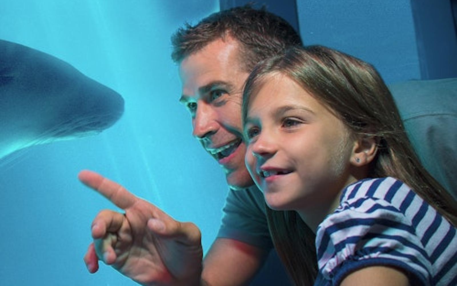 SEA LIFE Oberhausen: Giriş Bileti