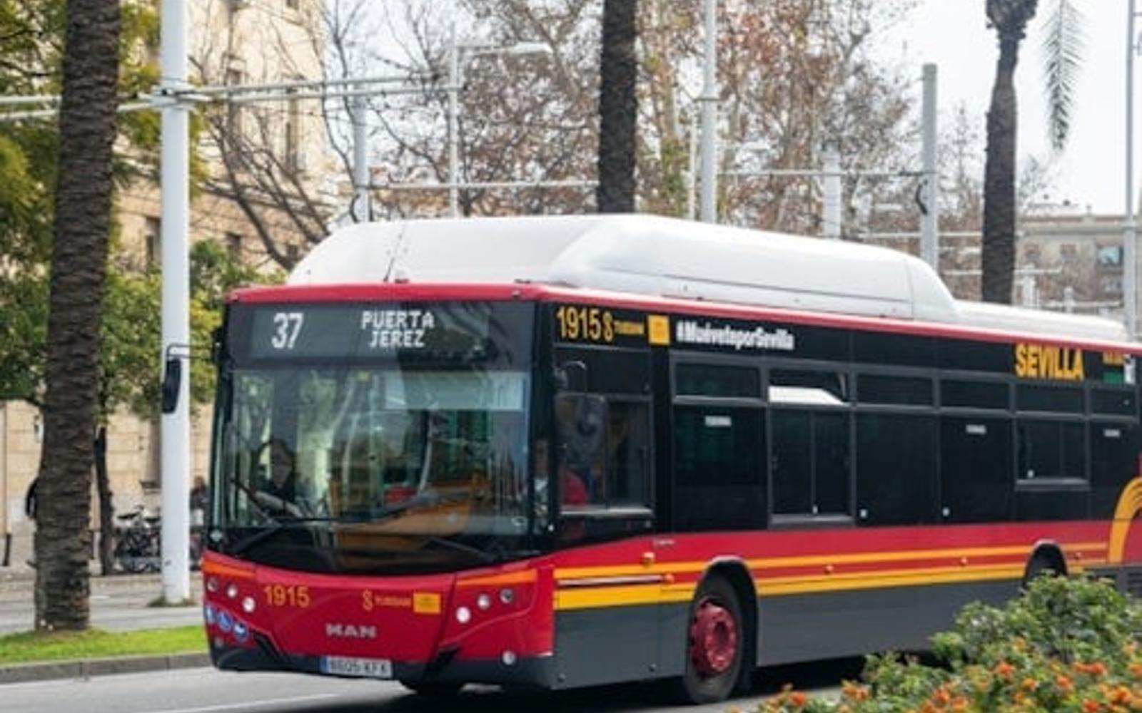 Seville: One-Way Transfer from City Center to Airport