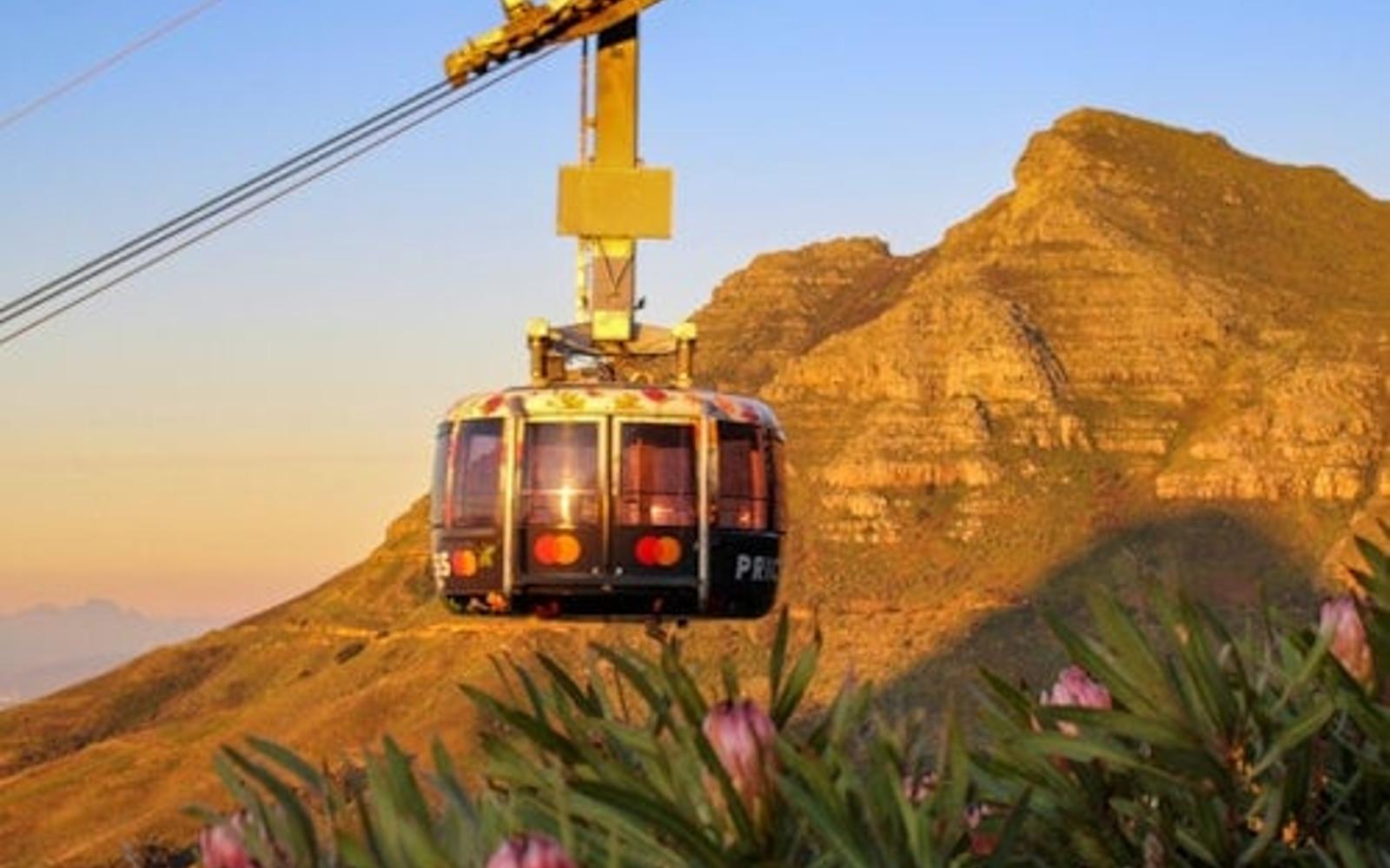 Table Mountain, Boulders Beach & Cape Point: Private Tour + Roundtrip Transfer tickets, Cape Town
