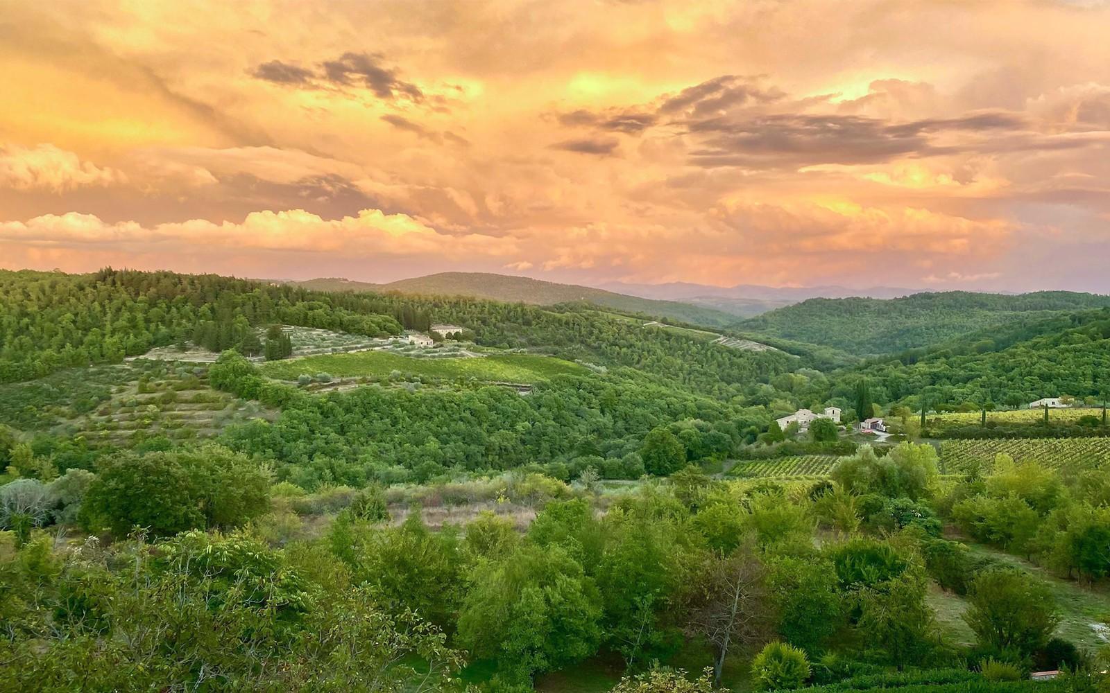 Guided E-Bike Rental in Chianti with Dinner