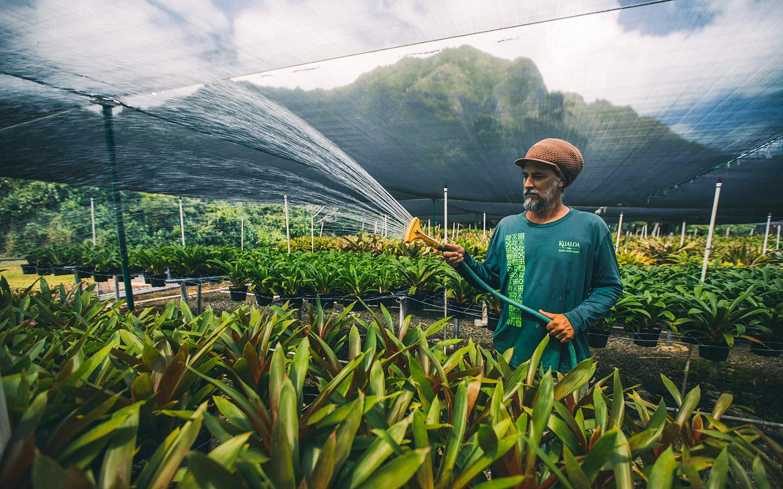 Kualoa Ranch: Kualoa Grown Tour