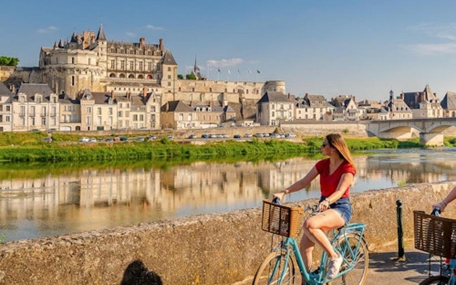 بلیط عبور سریع به Château d'Amboise