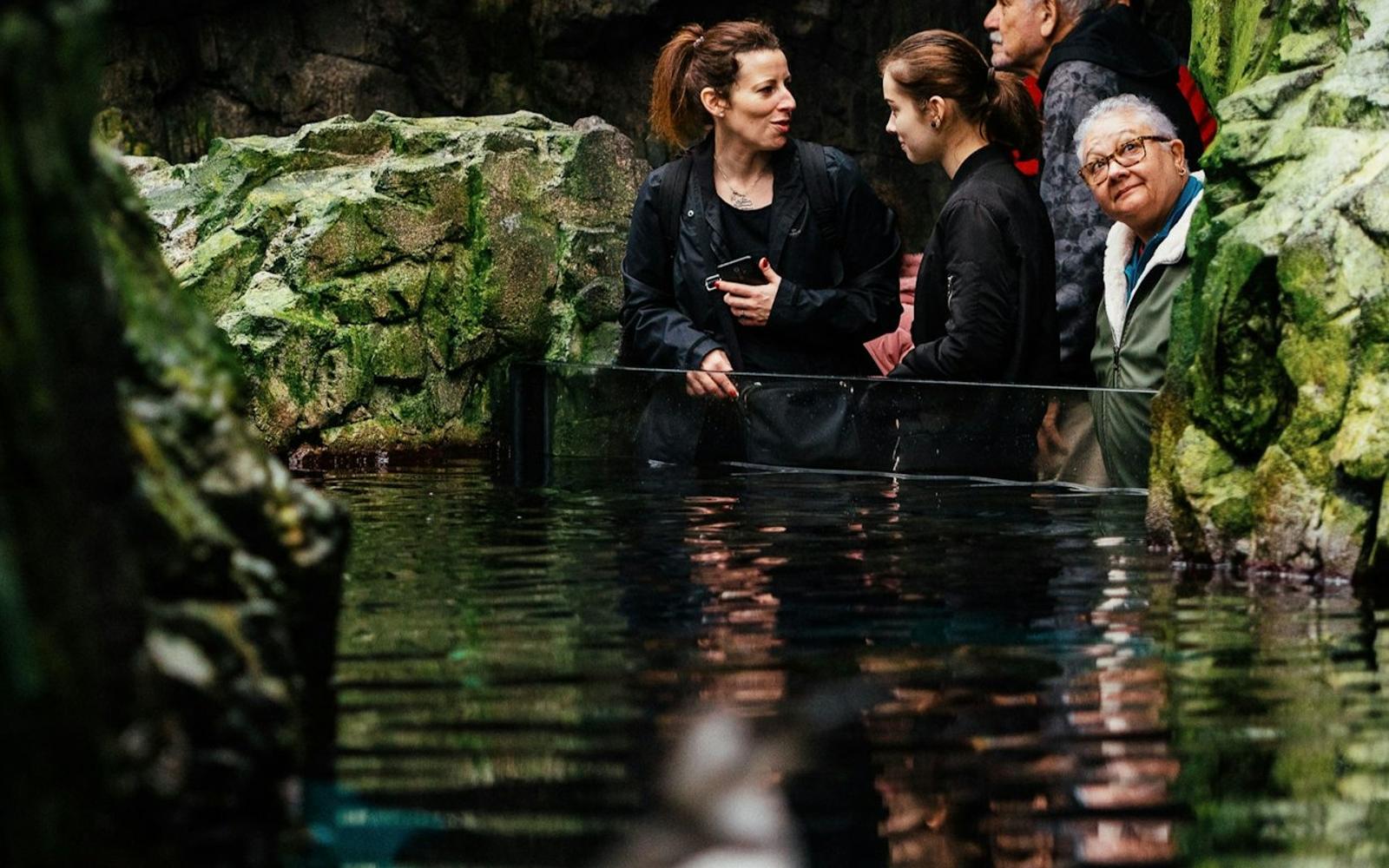 Oceanário de Lisboa: Guided Tour