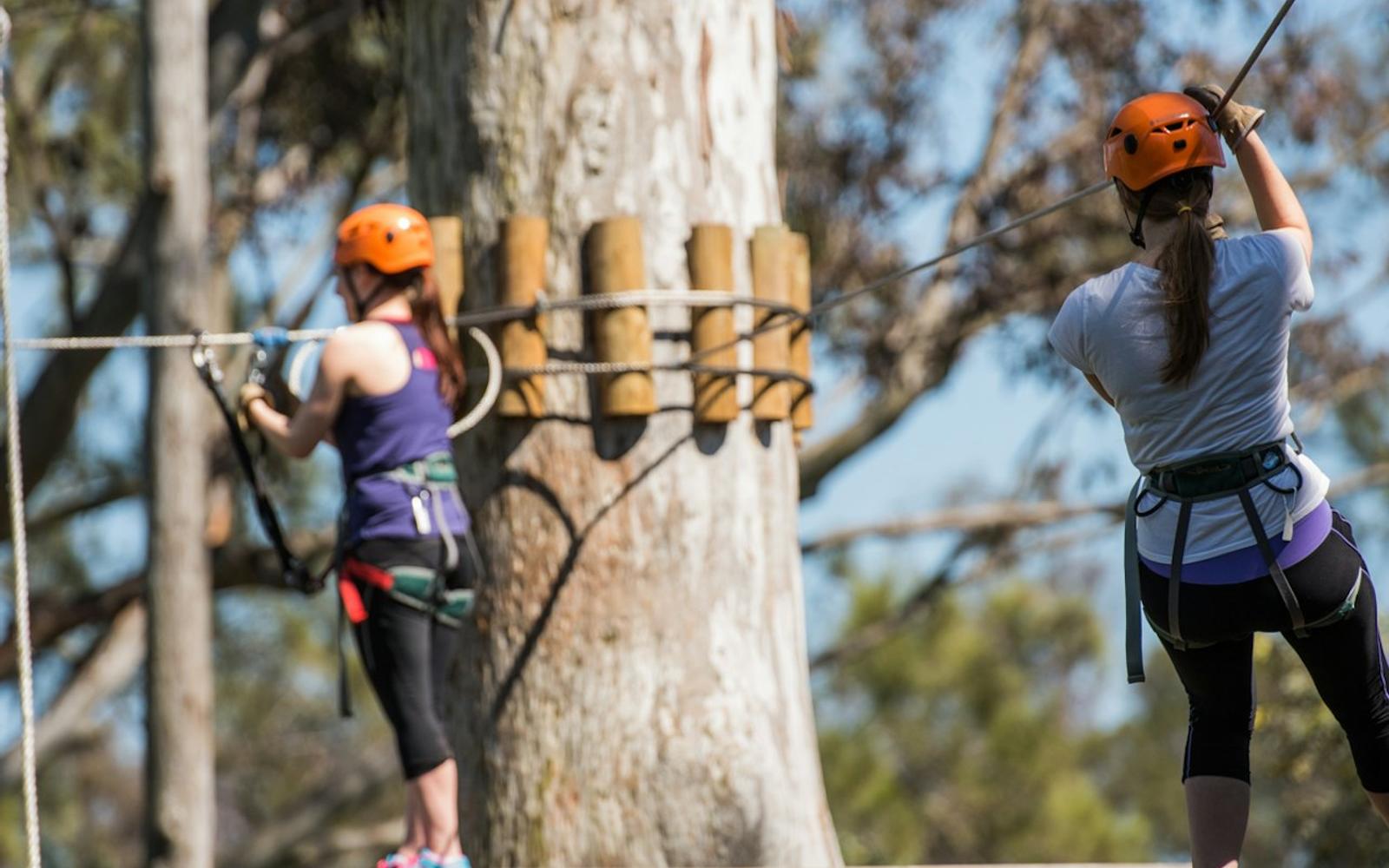 Treetops Adventure: Nowra Park
