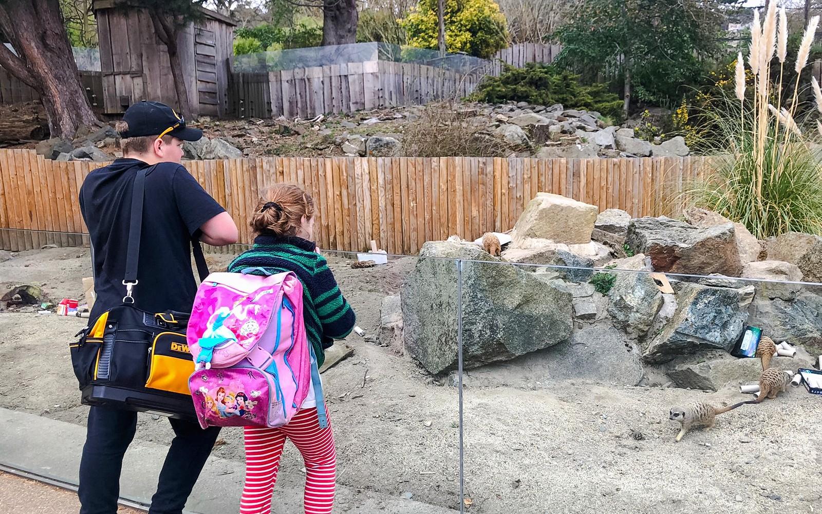 Entrades per al Zoo d'Edimburg