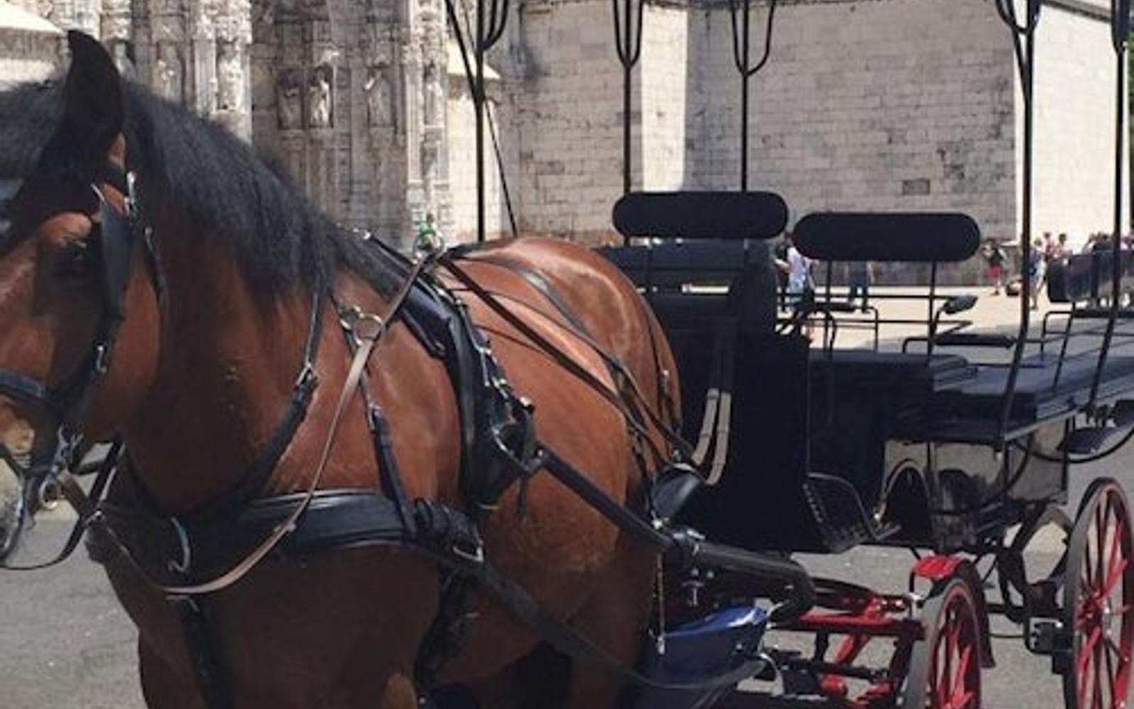 Lisbon: Horse-Drawn Carriage Ride in Belém tickets at Lisbon City Tours, Lisbon