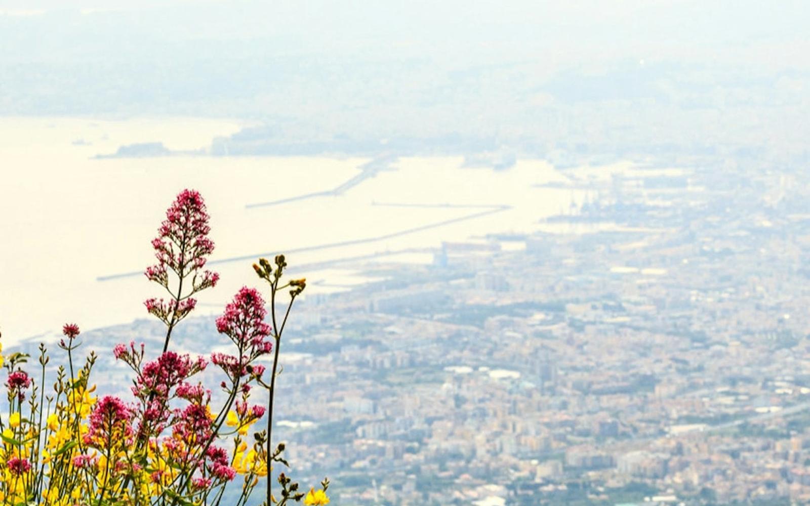 Mount Vesuvius: Skip The Line Ticket + Roundtrip from Naples
