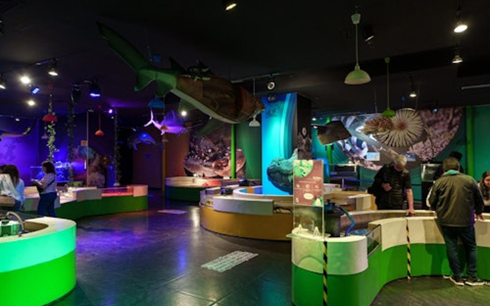 Inbursa Aquarium in Mexico City: Entrance Ticket