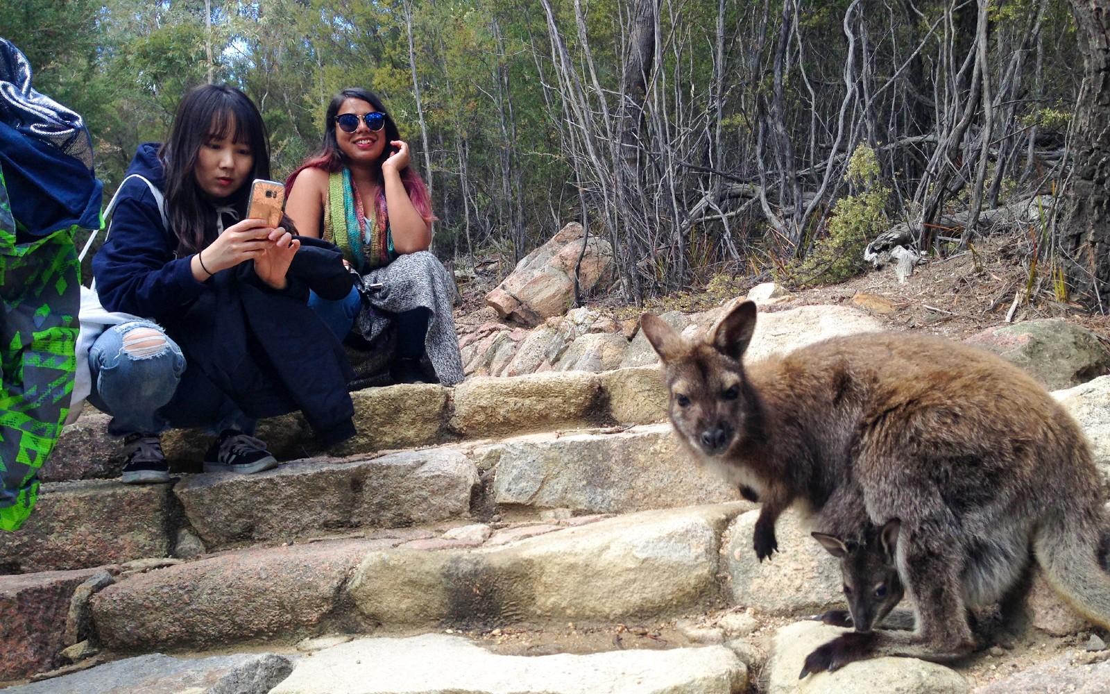 Dari Launceston: Lawatan Berjalan kaki Berpandu ke Wineglass Bay tickets at Hotel Grand Chancellor Launceston, Launceston