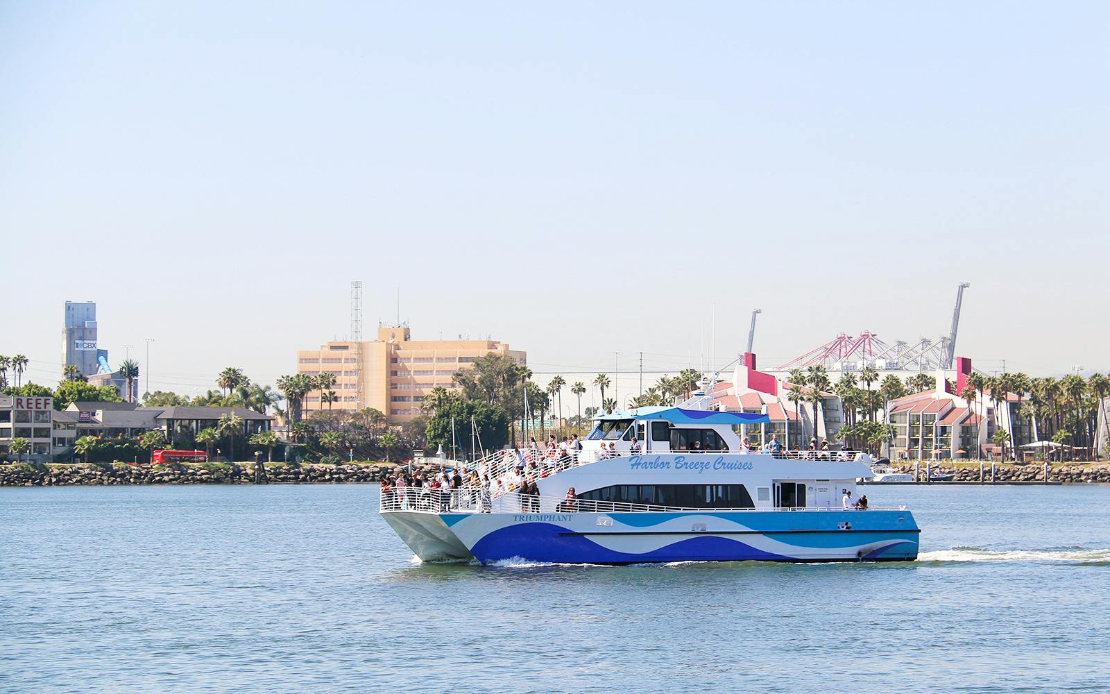 Long Beach Whale Watching and Dolphin Tour tickets at Harbor Breeze Cruises, Los Angeles
