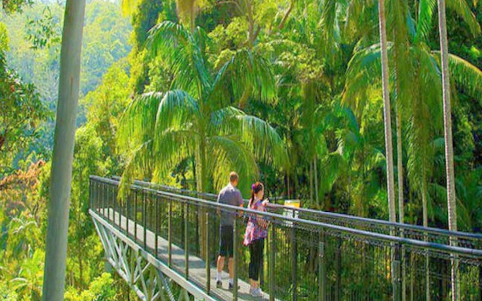 Tamborine Rainforest Skywalk: Entry Ticket