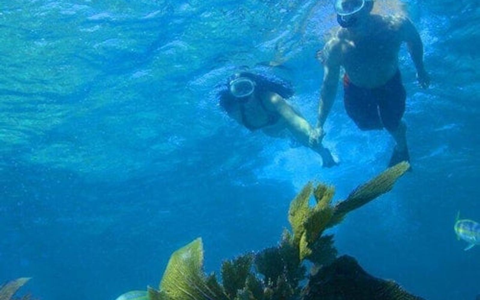 Double Dip Snorkel Trip