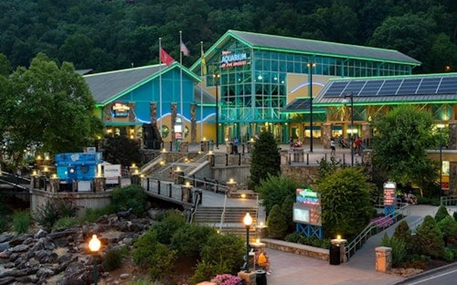Ripley's Aquarium of the Smokies: Entry Ticket