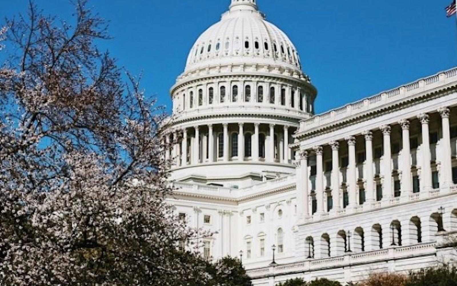 Capitol Hill: Small-Group Guided Walking Tour
