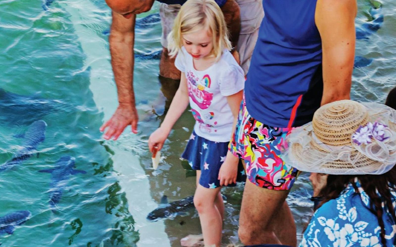 Darwin: Aquascene Fish Feeding Experience