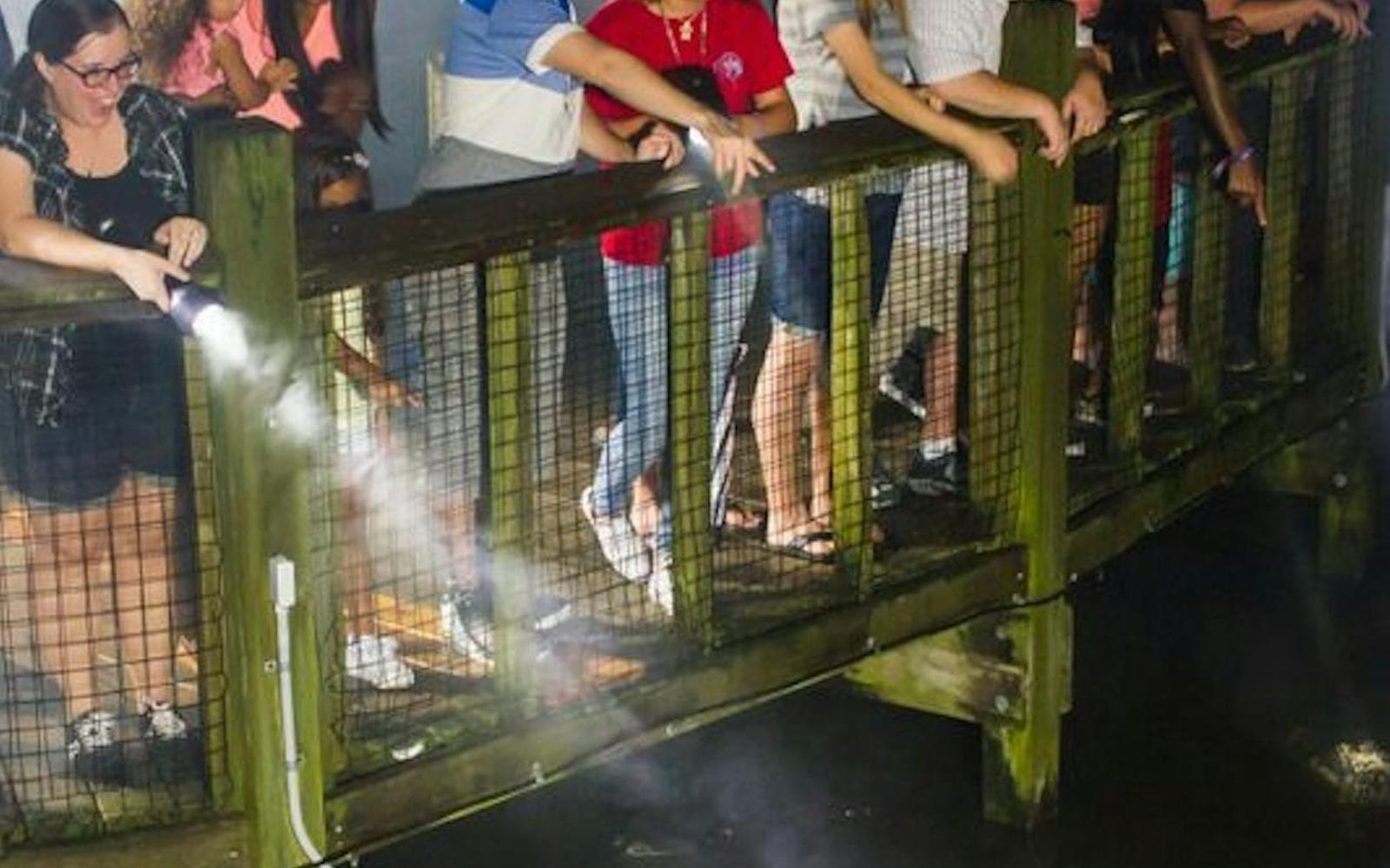 Gatorland Orlando: Gator Night Shine tickets at Gatorland Orlando, Orlando