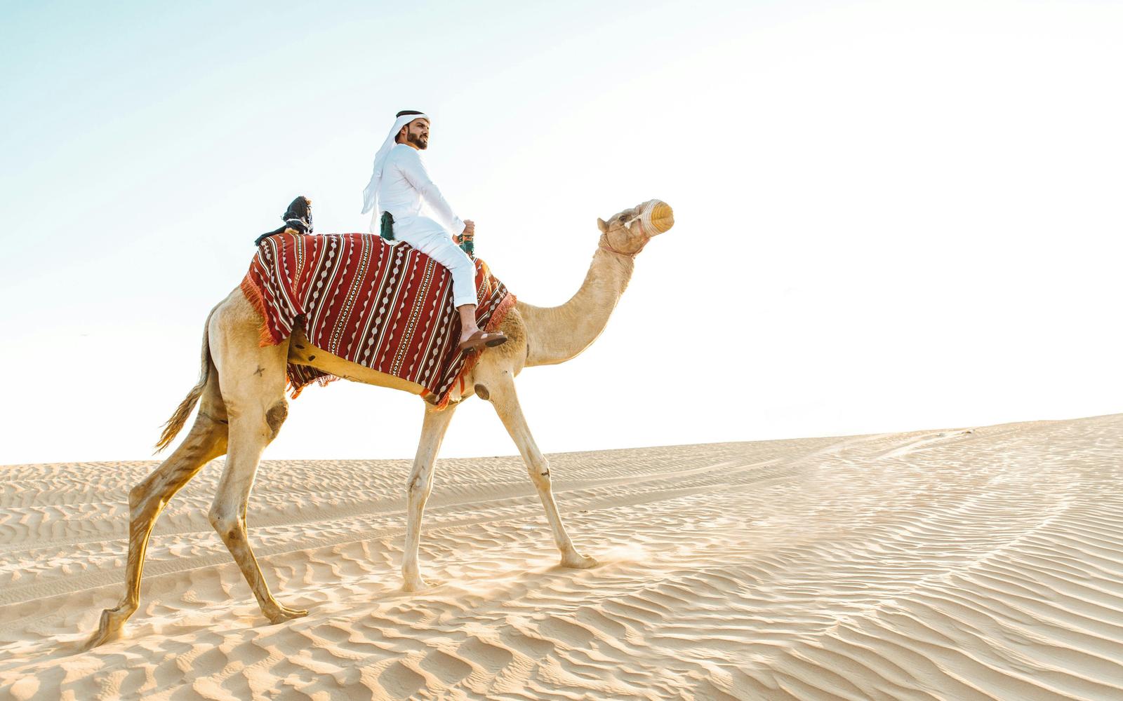 Abu Dhabi Camel Trekking Safari with Arabic Coffee & Dates tickets, Abu Dhabi