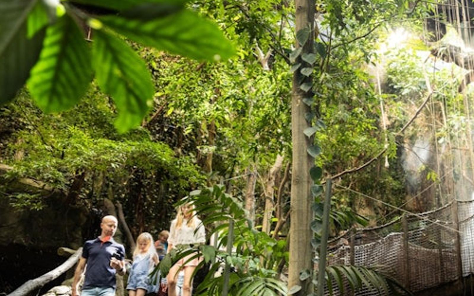 Universeum: Entry Ticket