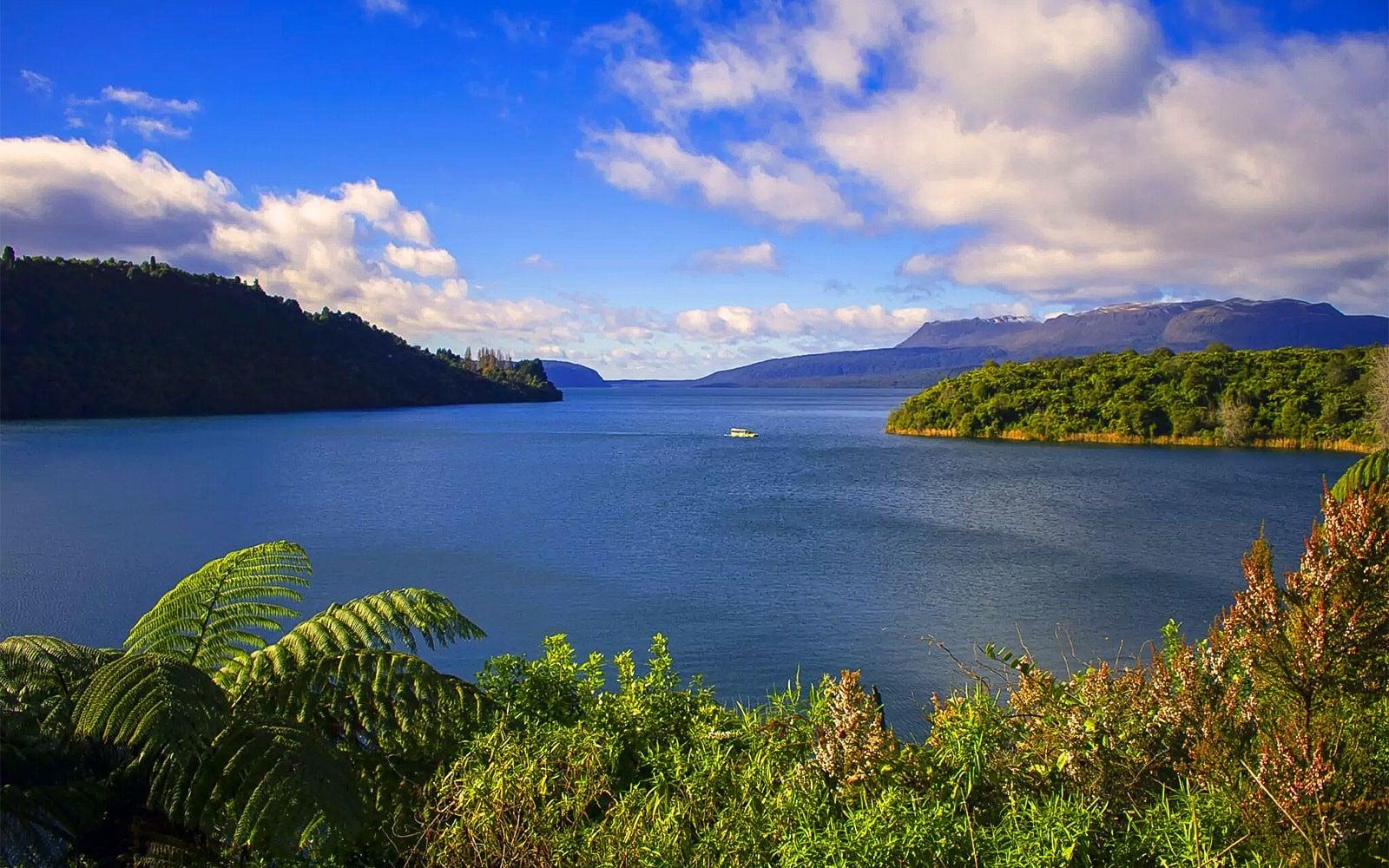تور اکولوژیک دریاچه‌ها و تاراورا tickets, Rotorua